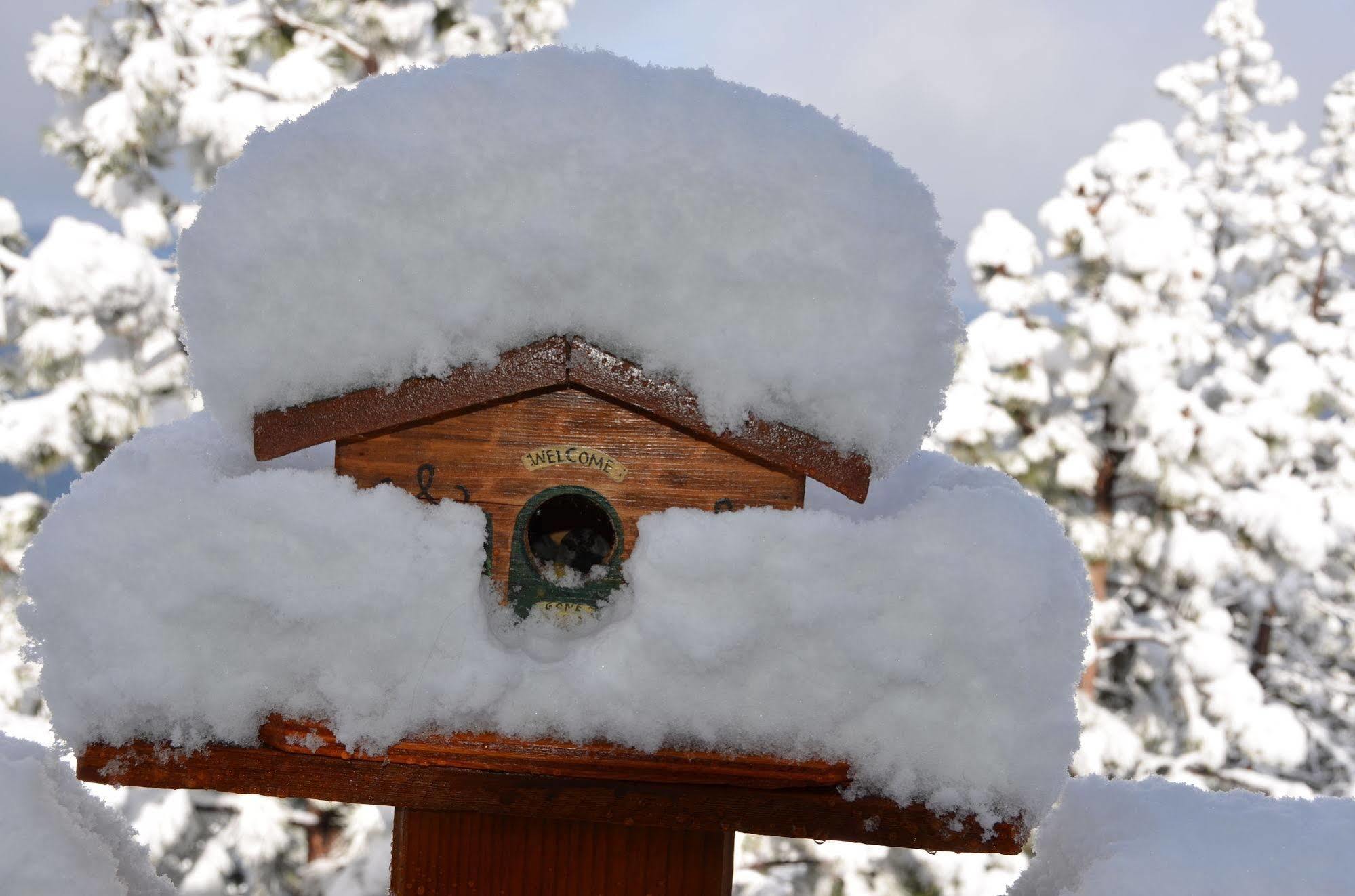 Where Eagles Fly Bed & Breakfast Elk Point Экстерьер фото